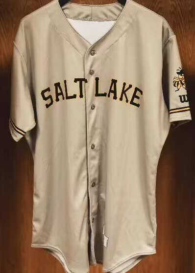 Men's Salt Lake Bees Blank Brown Stitched Baseball Jersey